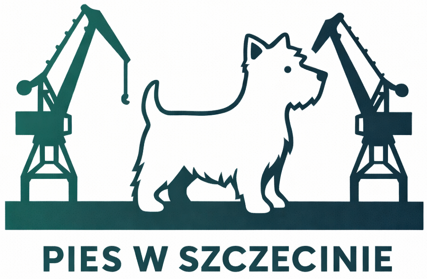 Pies w Szczecinie
